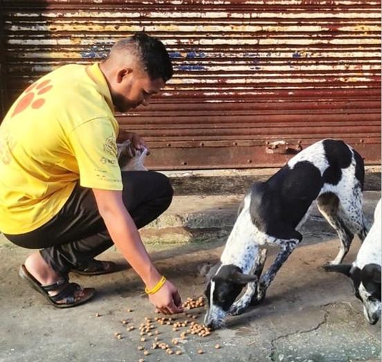 Figure 1 - Non-threatening approach for a vaccination. The vaccinator is lowered to the dog’s level, offering food to gain trust, and is slightly turned to avoid a head-on approach.