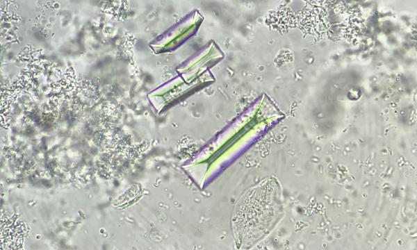 Sample Assessment