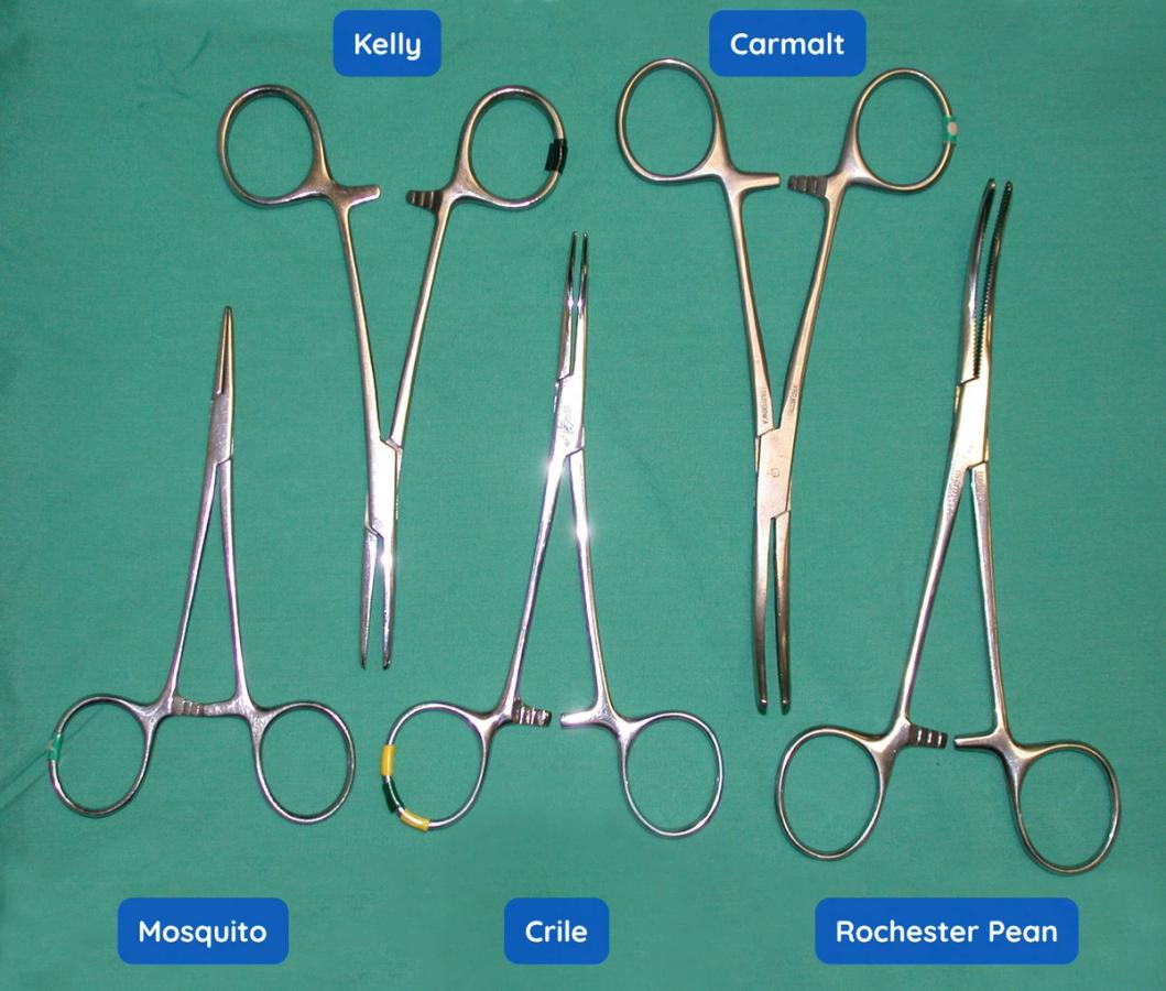 Figure 15 - Examples of haemostatic forceps.