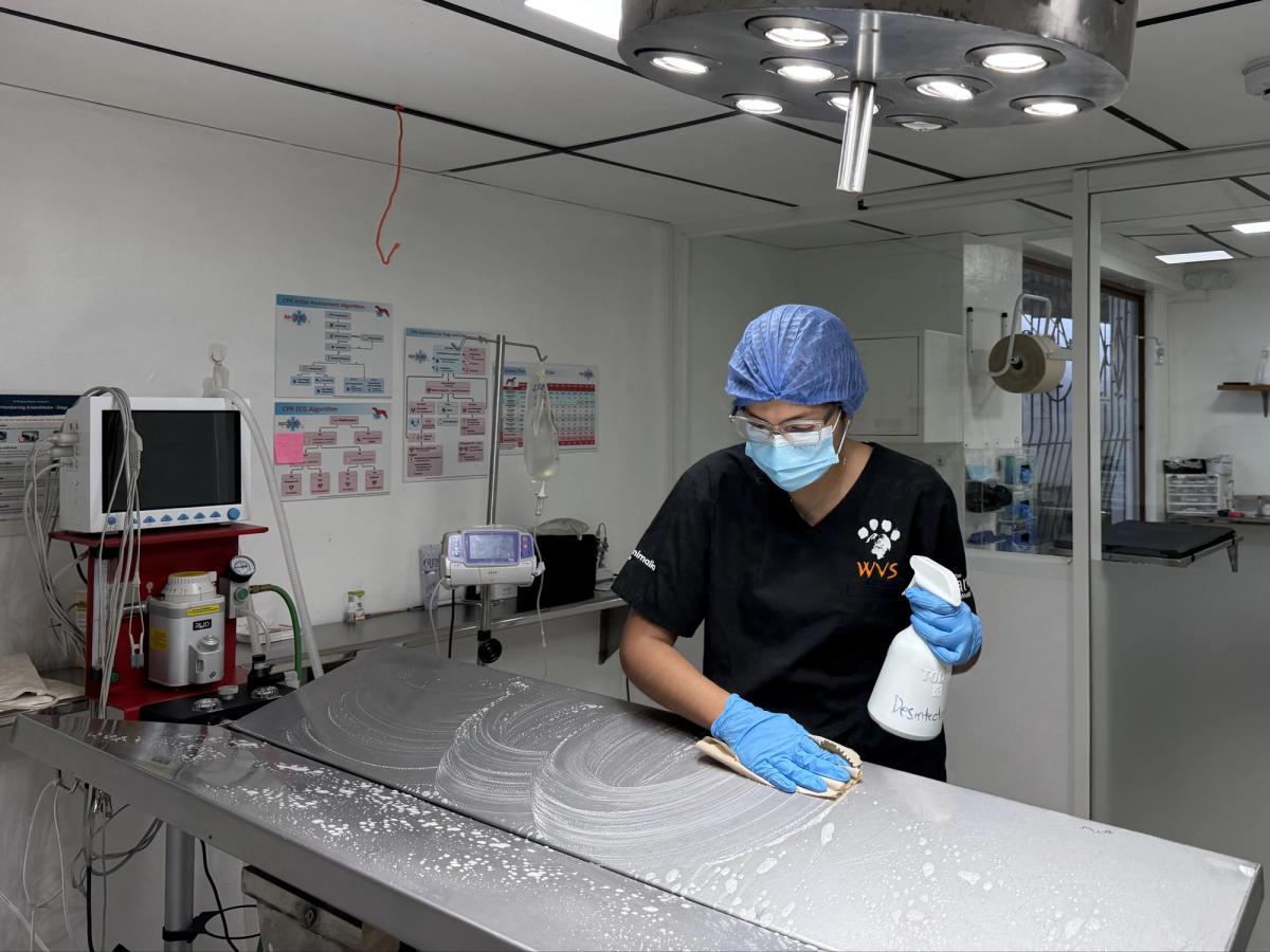 A staff member disinfects the operating table