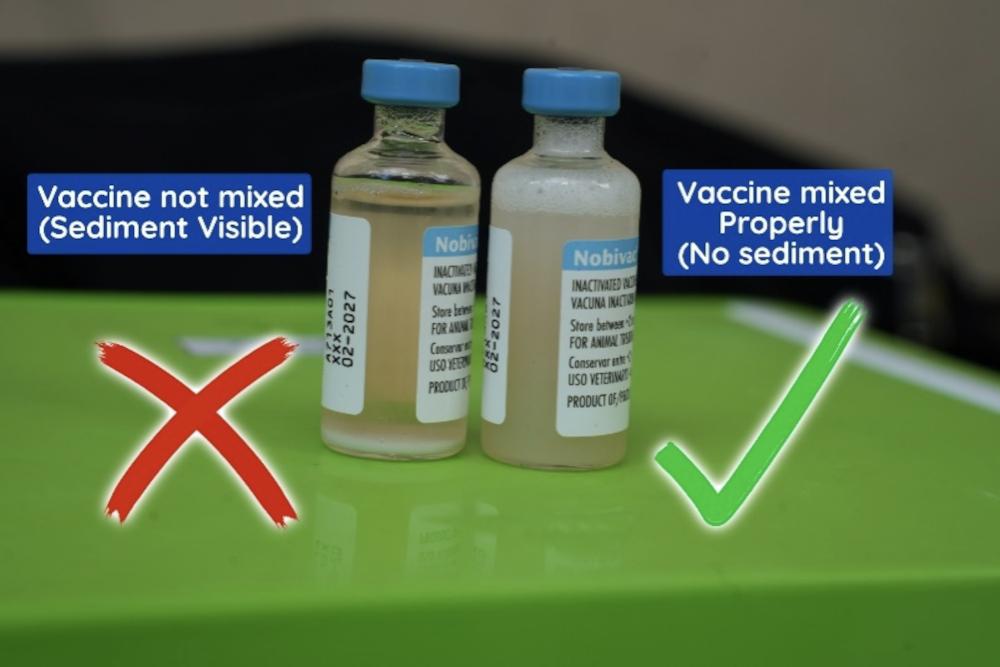 Figure 5 - Gently shake the vial before drawing up to ensure that sediment is resuspended.
