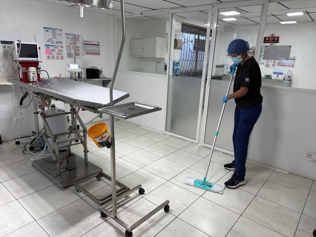 A staff member mops the floor