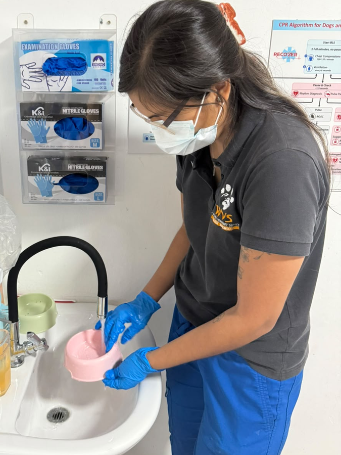 cleaning of food bowls