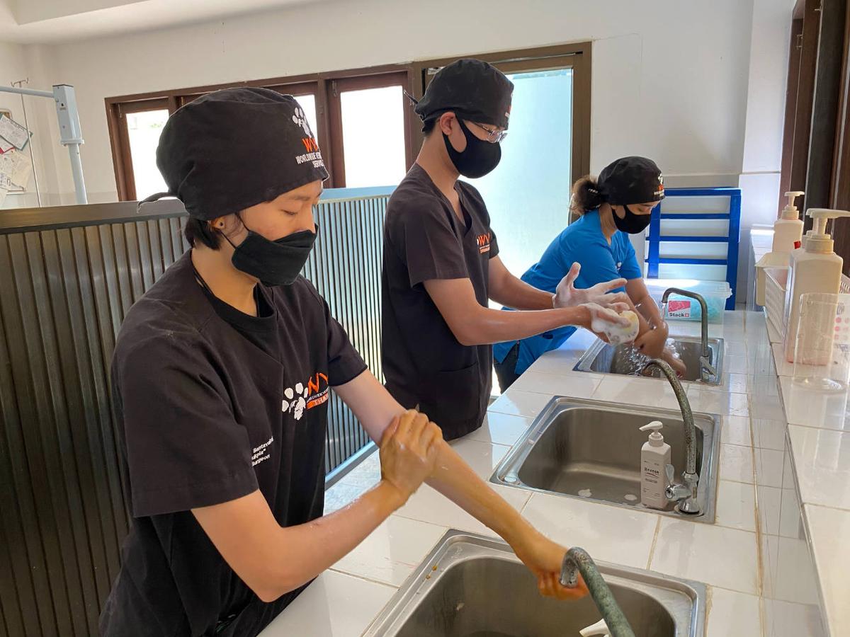 Figure 1 - An example of a clean scubbing area with sufficient space to enable multiple staff to wash without risking contamination by touch.
