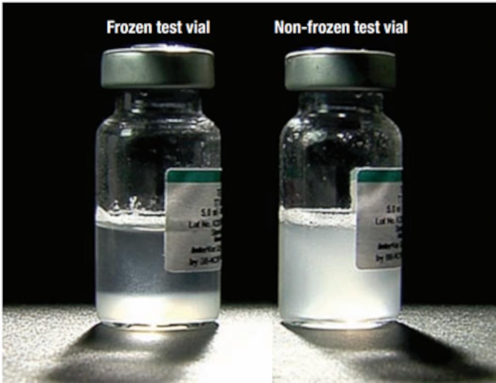 Figure 2 - Visual difference in sedimentation rates after shake test for detecting freeze damage to adsorbed vaccines. Left: Previously frozen vial where sediment has settled. Right: Never previously frozen vial showing uniform cloudy appearance of undamaged vaccine.