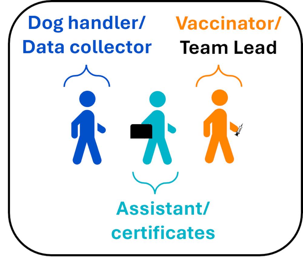 Figure 1 - Example of a static point vaccination team structure.
