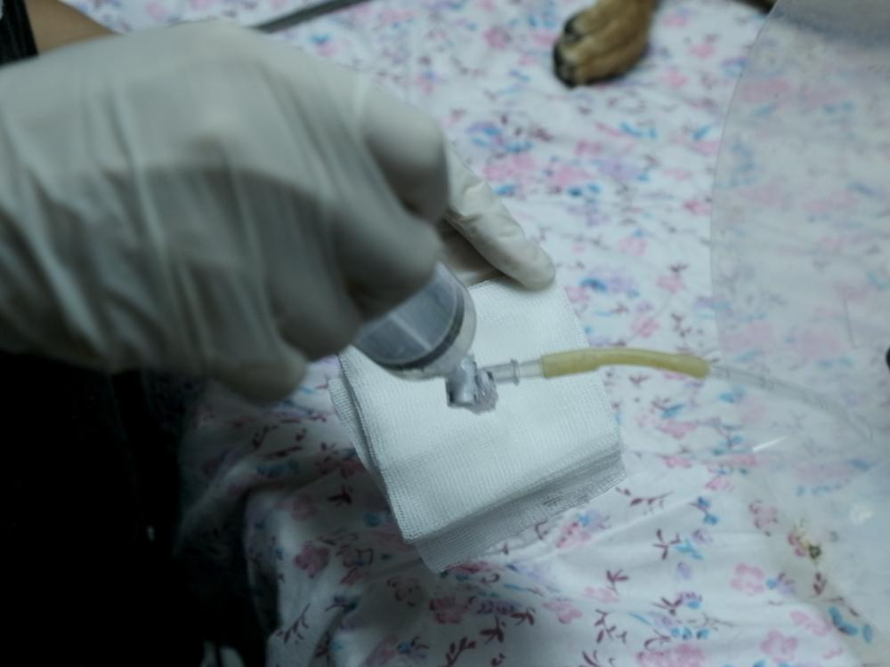 Dressings | Learn | WVS Academy Dressings | Learn | WVS Academy