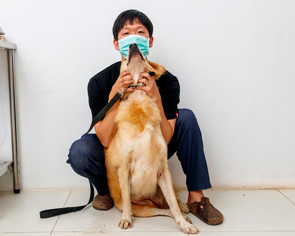 Figure 3 - Sitting restraint for jugular blood sampling.