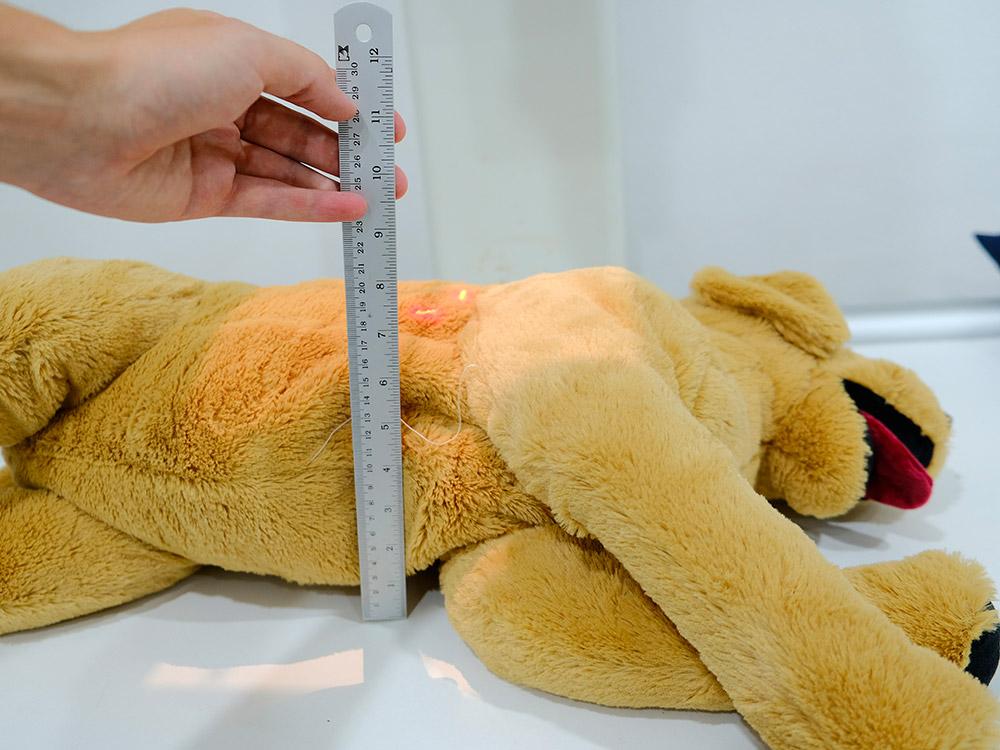 Figure 2 — Patient depth is measured in a model patient.