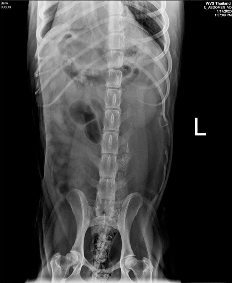 Figure 5