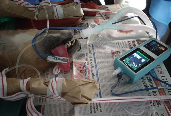 Monitoring And Maintenance