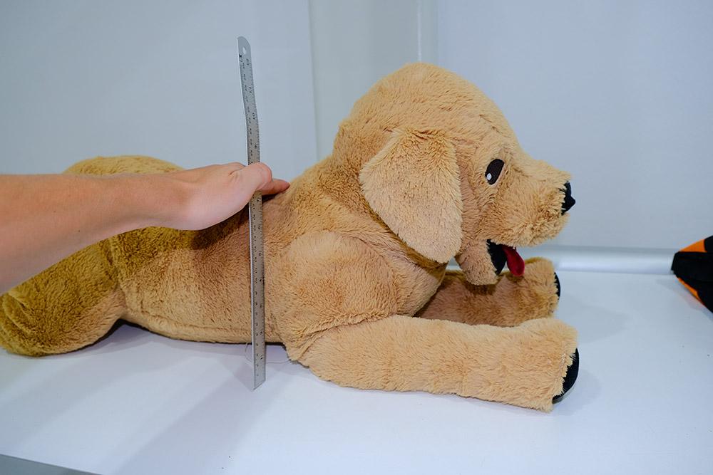 Figure 1 — Clinician measures patient depth.