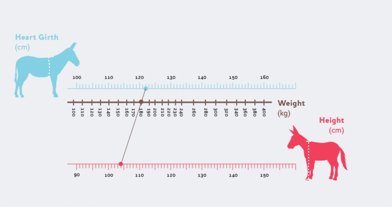 Figure 6 Donkey weight chart; i.e. a donkey with a heart-girth measurement of 122cm (blue dot) and with a height measurement of 140cm (red dot) should weight around 181kg (brown dot; reproduced from the Donkey Sanctuary)