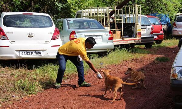 Oral Rabies Vaccination