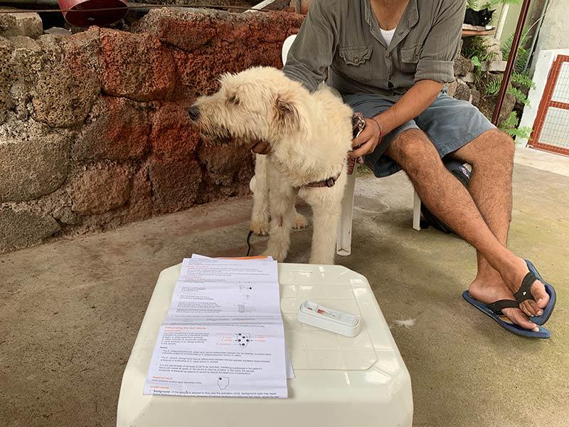 Figure 4. This is an ELISA 4DX SNAP test kit that tests for Ehrlichia, Anaplasma, Heartworm, and Lyme disease. This dogs came in with symptoms of pyrexia, anorexia, and weight loss, symptoms associated with the acute phase of the disease.