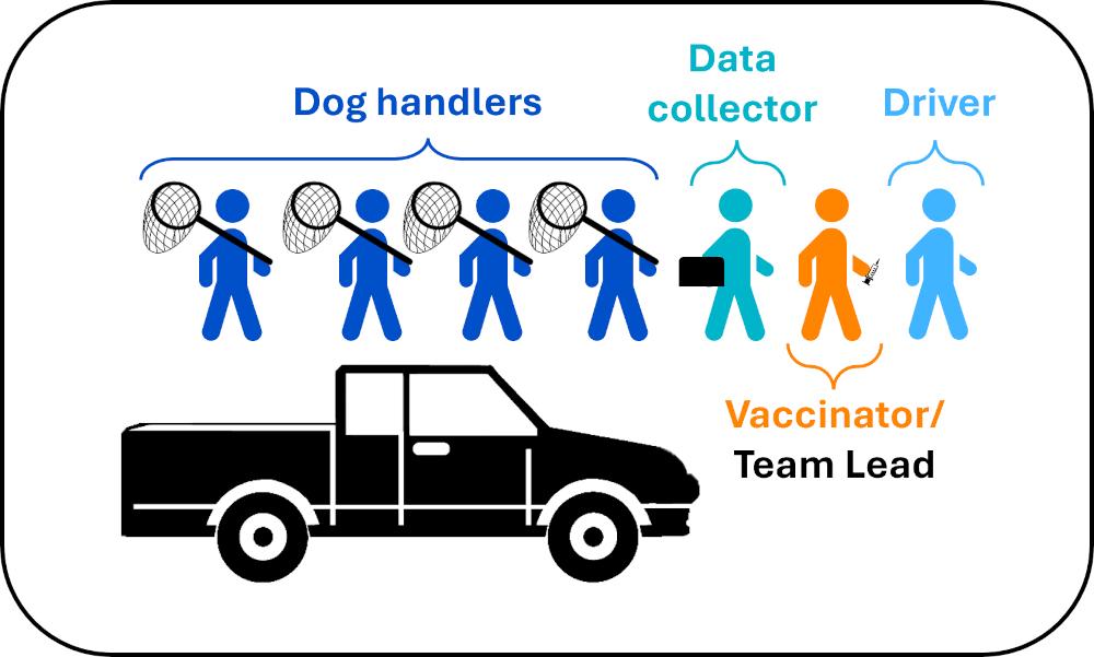 Figure 1 - Example CVR team structure for a seven person team and transport vehicle.