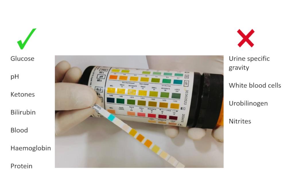 Figure 1. Summary of which parameters can be used in our veterinary patients and which should be avoided.