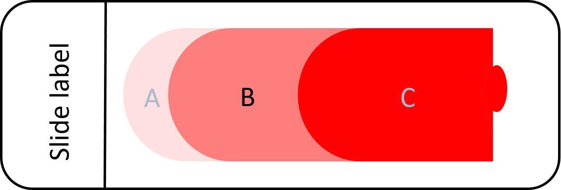 Figure 3 — Monolayer (B)