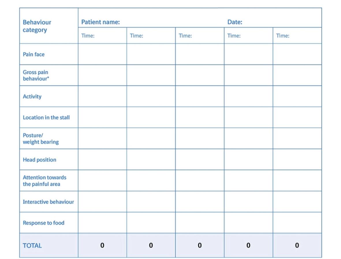 Figure 5 Pain Scoring sheet for an equine patient © Boehringer Ingelheim