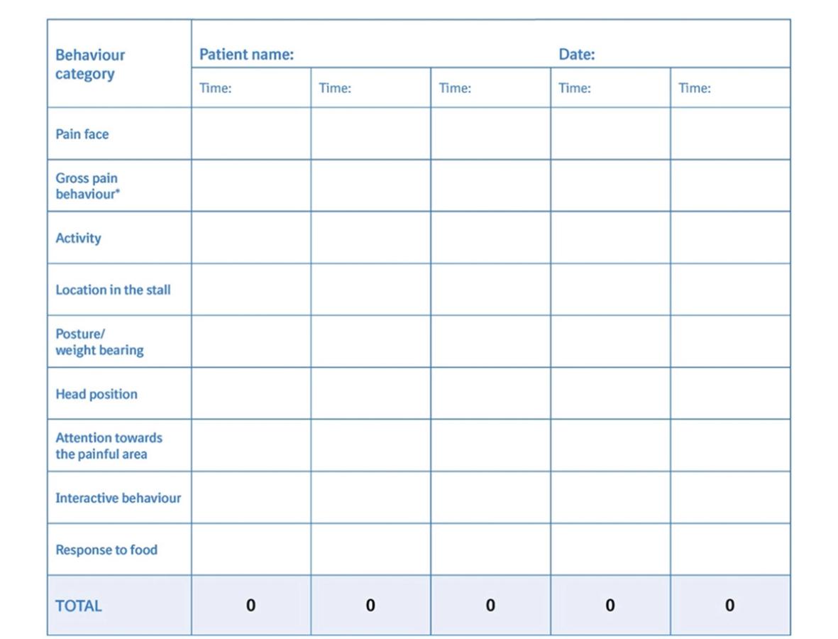 Figure 5 Pain Scoring sheet for an equine patient © Boehringer Ingelheim