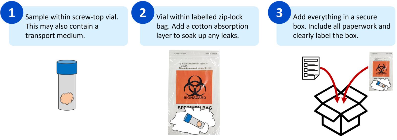 Figure 4 - Illustration of packaging protocol for samples for rabies diagnostic testing.