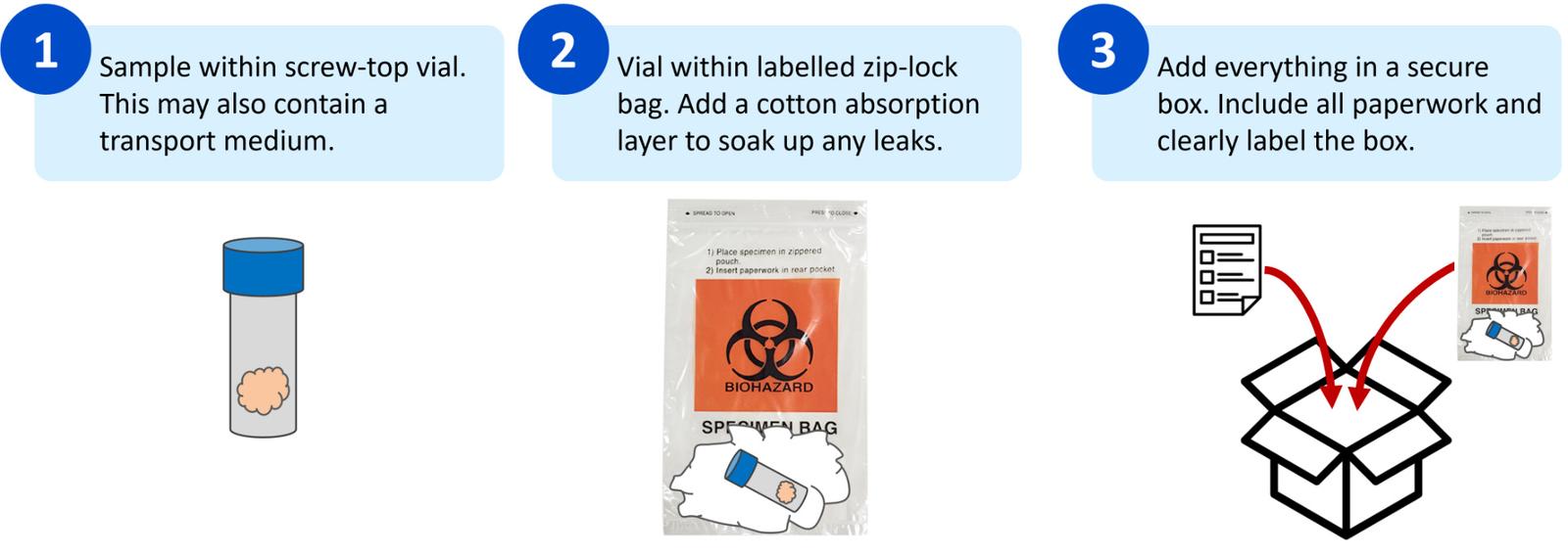 Figure 4 - Illustration of packaging protocol for samples for rabies diagnostic testing.