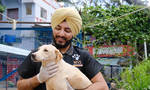 Dog Behaviour and Handling