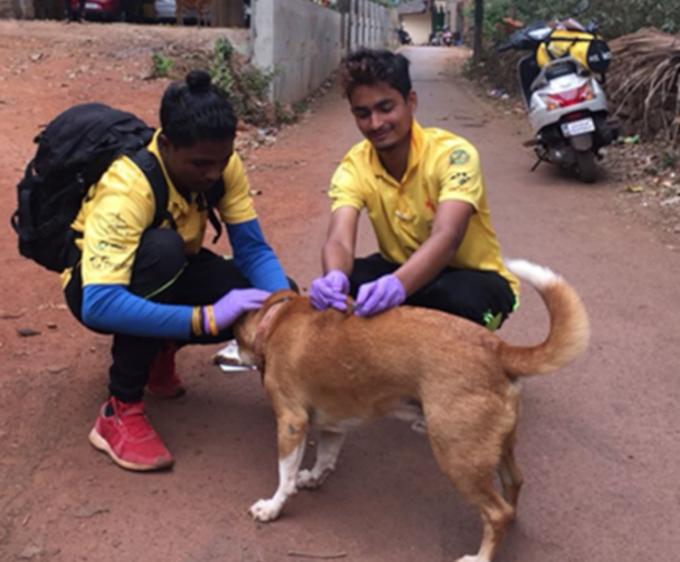 Figure 2 - Door-to-door teams can be just two people travelling by two-wheeler scooter - a vaccinator and a dog handler.