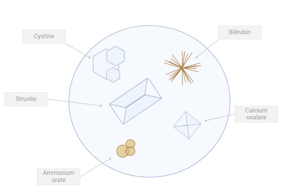 Figure 8. Summary illustration of common crystals.
