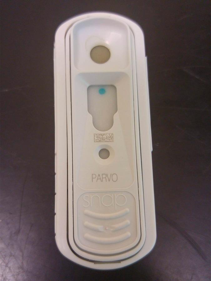 Figure 4 — Example of a SNAP ELISA test for parvoviral antigen