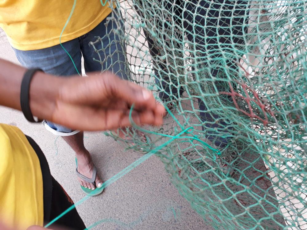 Damaged net 2
