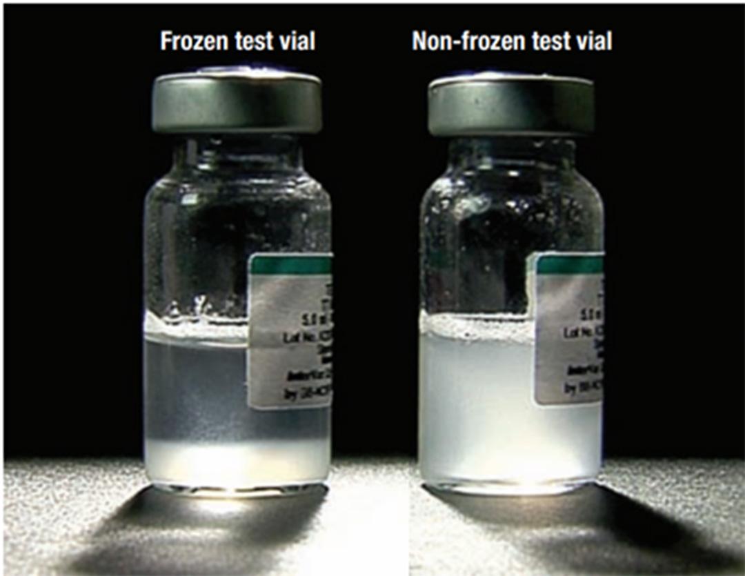 Figure 1 Some vaccines do not resuspend properly after mixing well; this can be a sign they have been frozen and the active ingredient deactivated