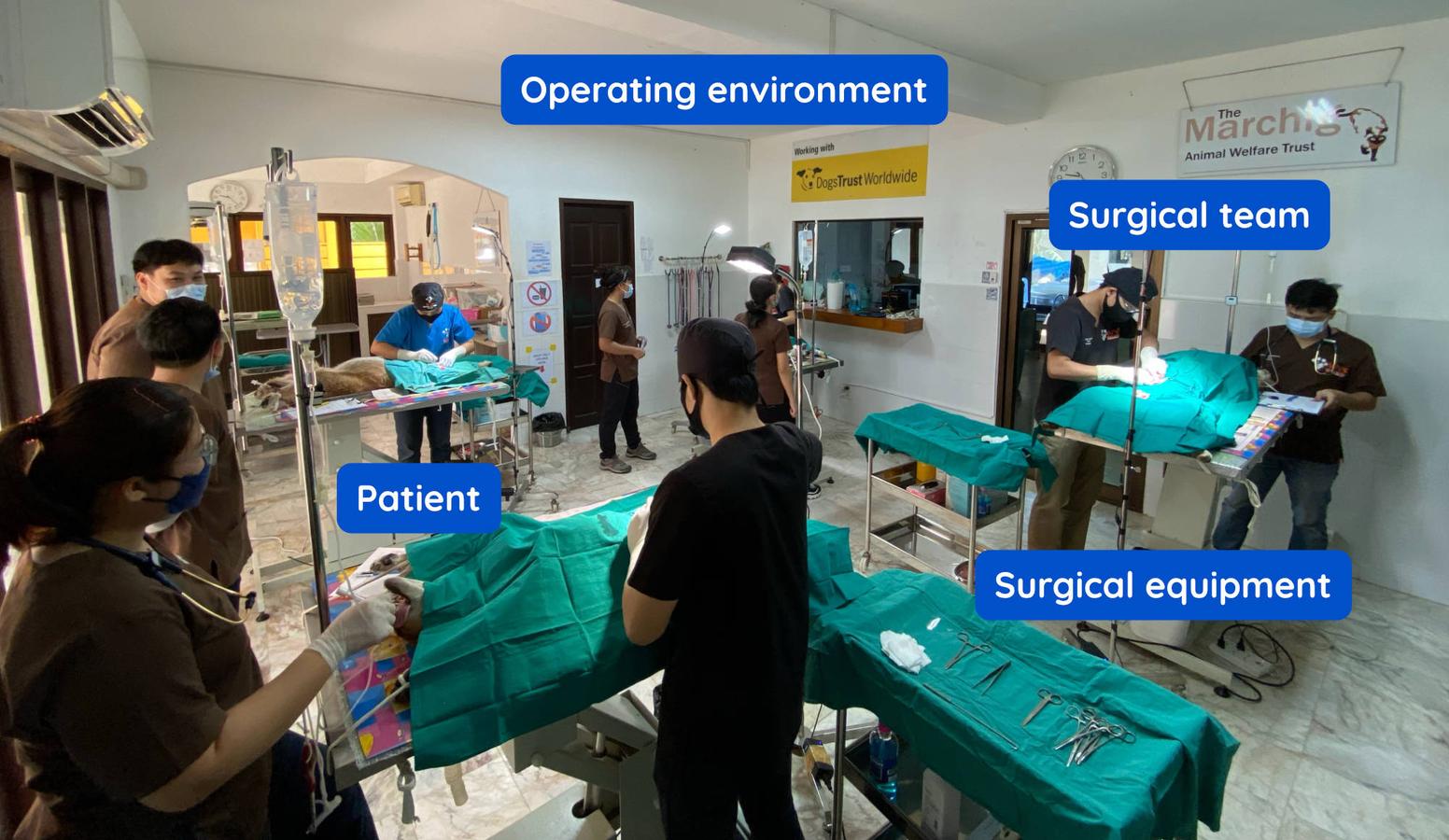 Figure 1 - Sources of potential contamination by microorganisms in an operating environment.