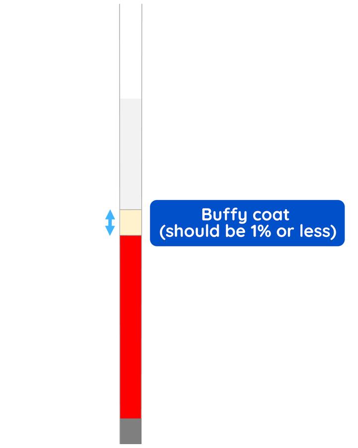 Figure 20