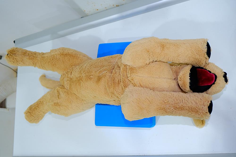 Figure 2 — Foam wedges added to either side of the patient
