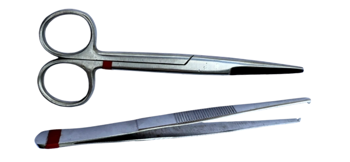 scissors and forceps
