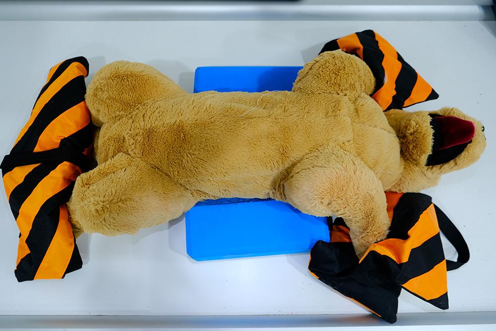Figure 4 — Place sandbags on front and hind limbs to hold patient in position.