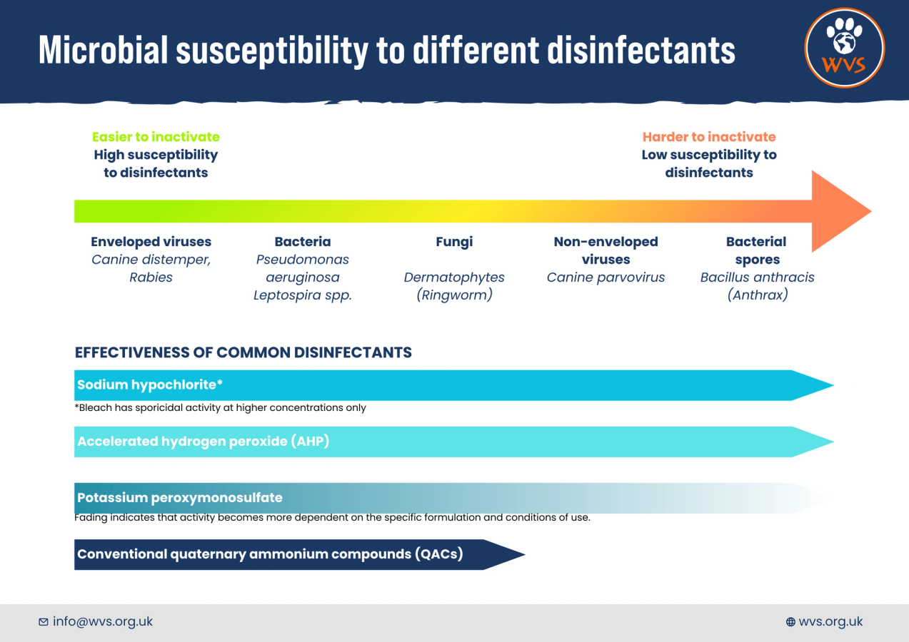 Microbial susceptibility chart