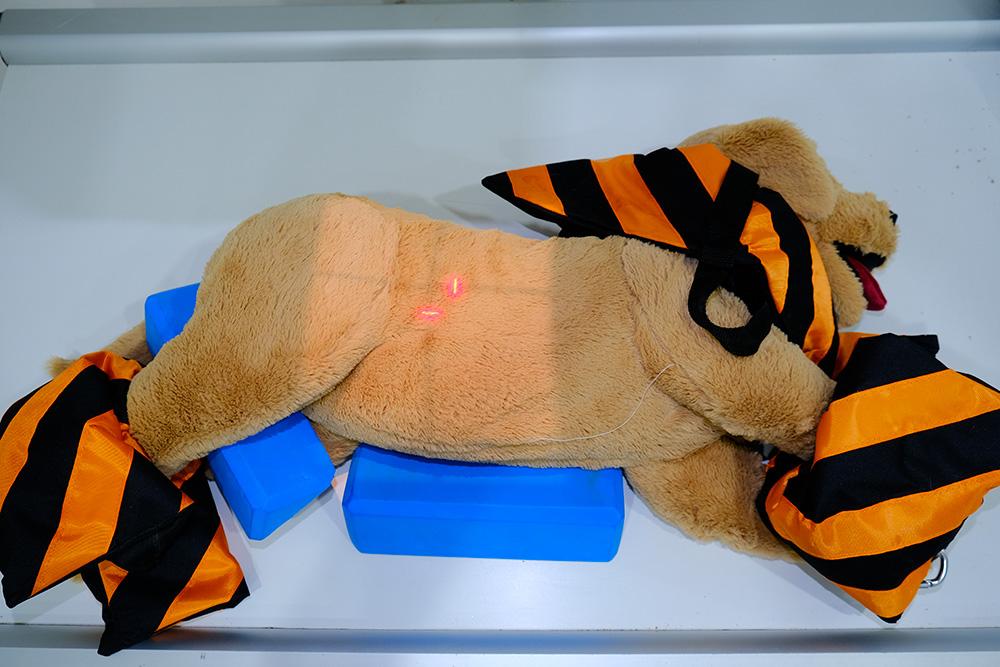 Figure 6 — Positioning aids (sandbags + wedges) and collimation for a left lateral abdominal view
