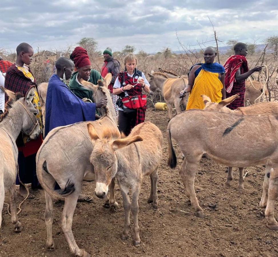 Figure 4 It is common for mass deworming of working equines to be part of a charity project with volunteers; where possible, start the conversation about whether this a good use of resources
