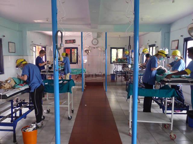 Figure 1 - Our training centre in Ooty, India, is designed with clear, operating stations and a central walkway from the theatre to the prep room. Essential staff only are allowed in this designated area.