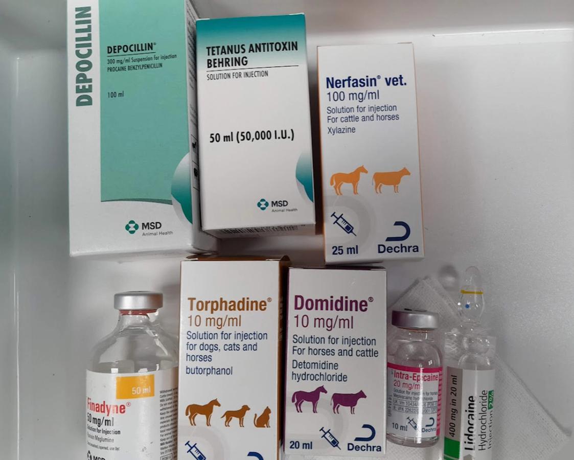 Figure 1 A selection of drugs (UK) suitable for a general anaesthetic