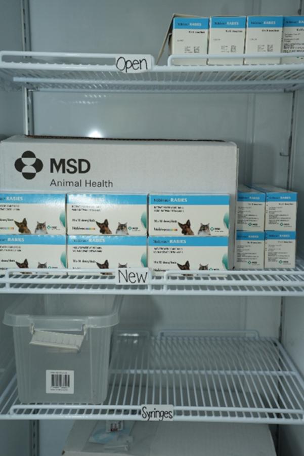 Figure 1 - Example of a well organised vaccine fridge.