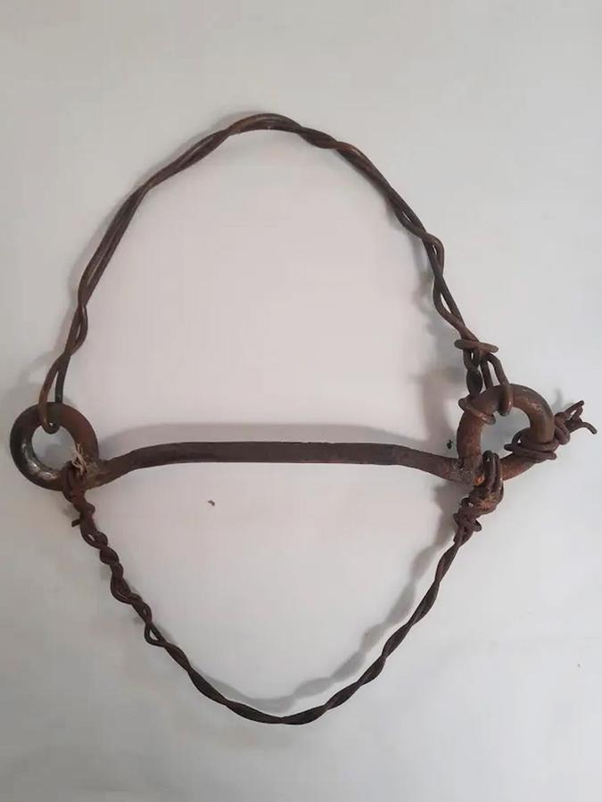 Figure 3 A narrow bit with wire used to go over the nose and under the chin