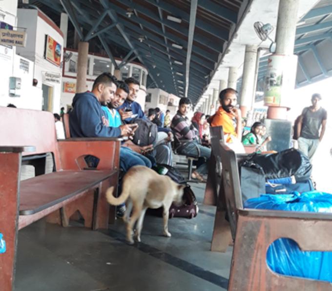 Figure 3 - Avoid attempting to catch dogs in crowded public spaces.