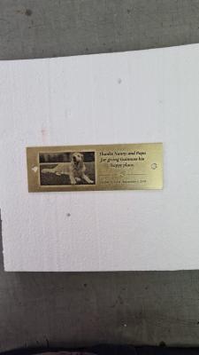 PHOTO 2021 03 22 11 04 35
