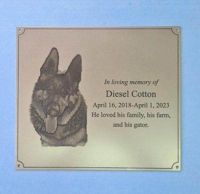 PHOTO 2023 04 09 13 03 22