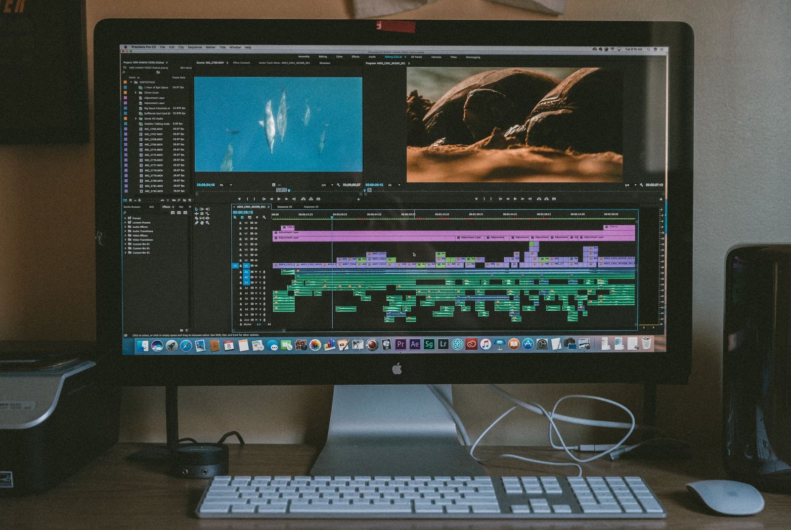 The Art of Digital Content Creation at Viva Studios