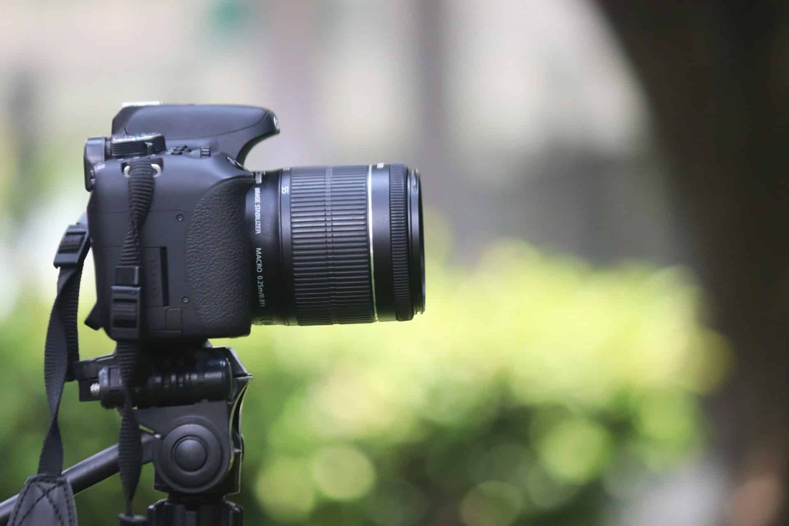 Tips for Renting the Best Camera Gear for Photo Shoots