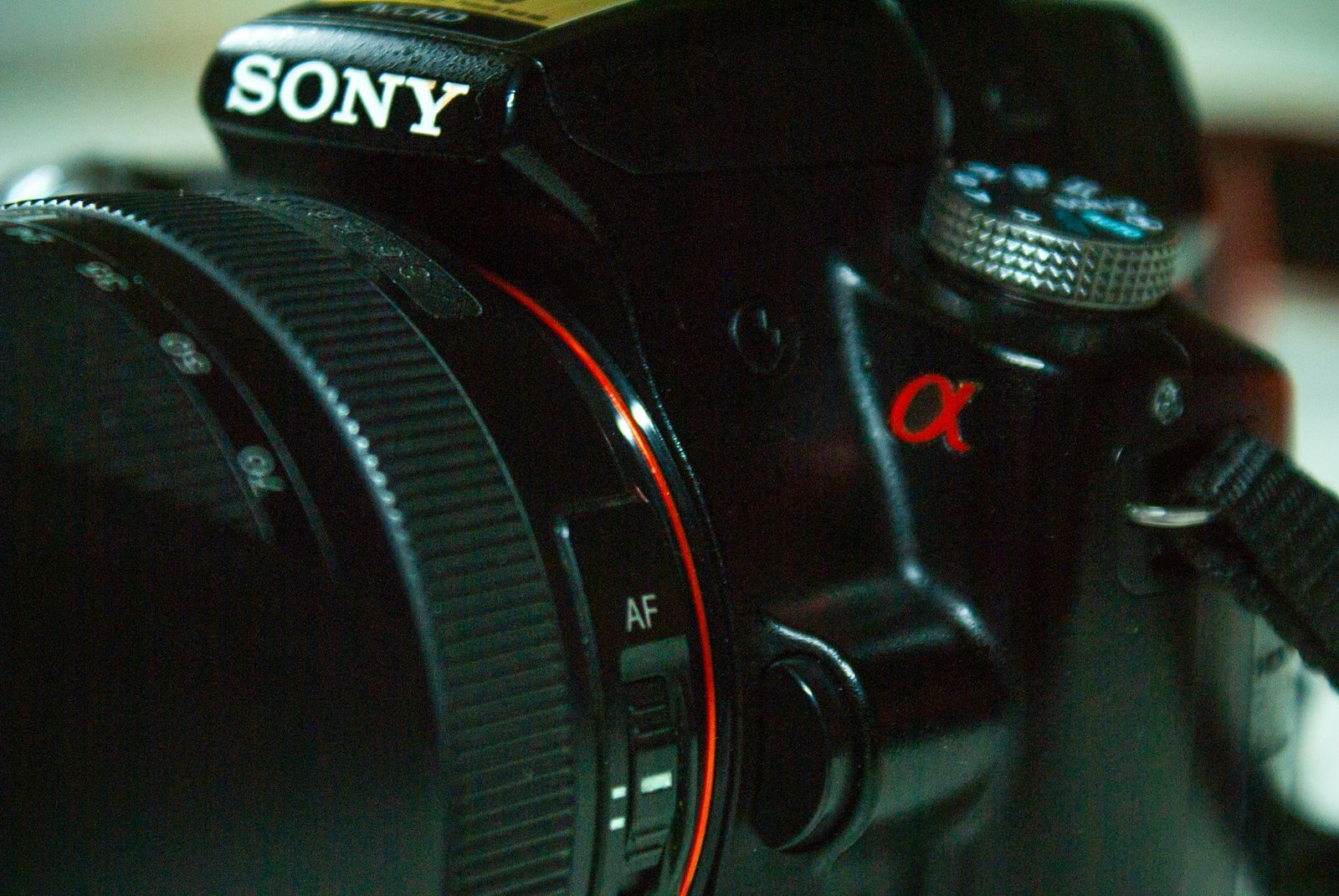 What Results to Expect From Photography Gear Rentals